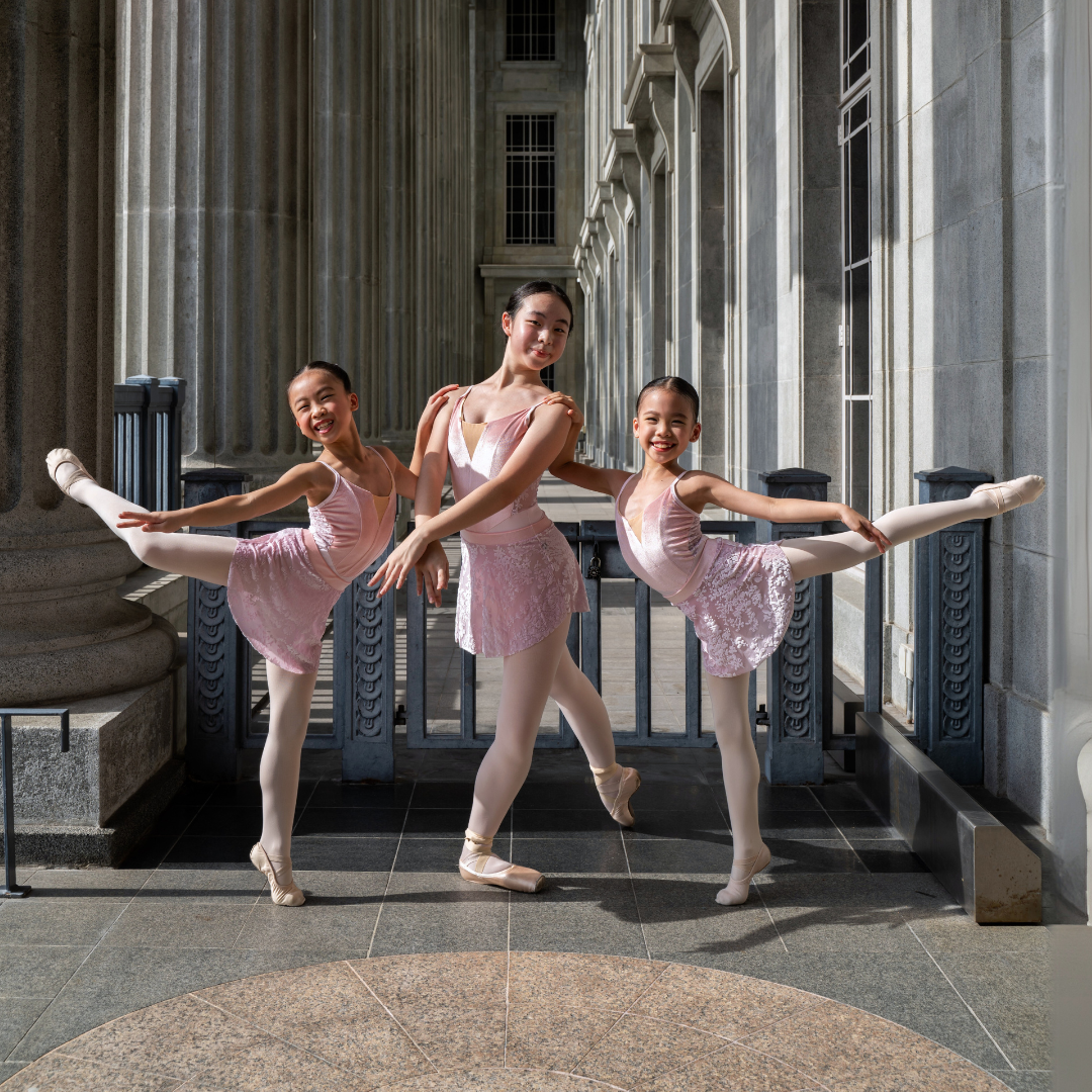 Snowy Petals Velvet Leotard (Pink)